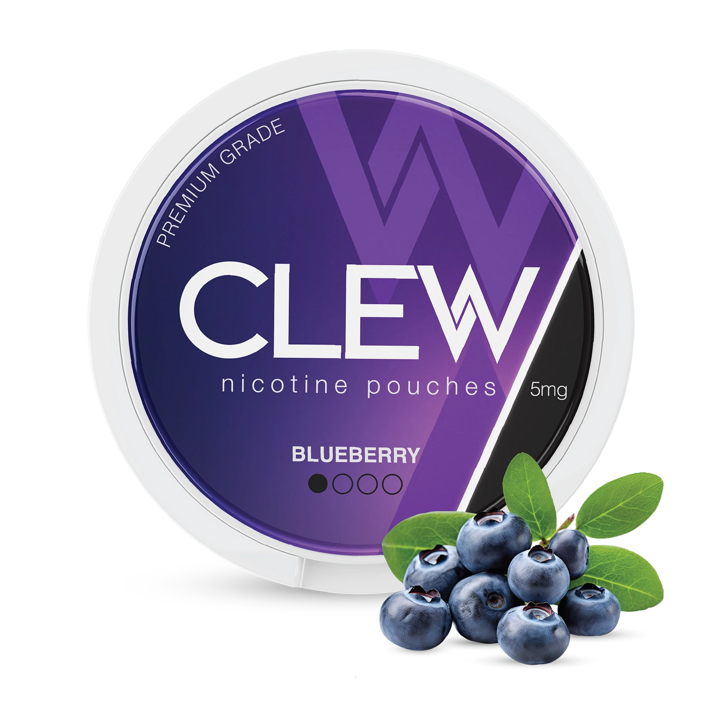 CLEW Blueberry Nicotine Pouches