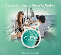 Top Mint Nicotine Pouches: Smooth Flavour for Newbies