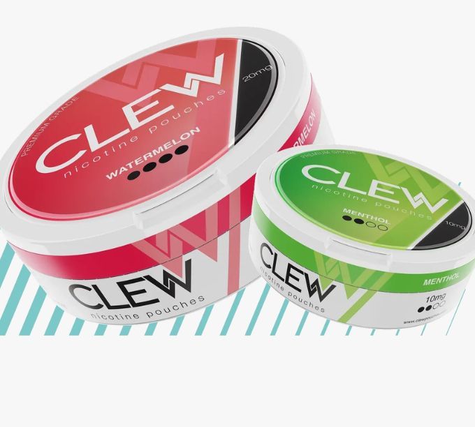 Top Mint Nicotine Pouches: Smooth Flavour for Newbies