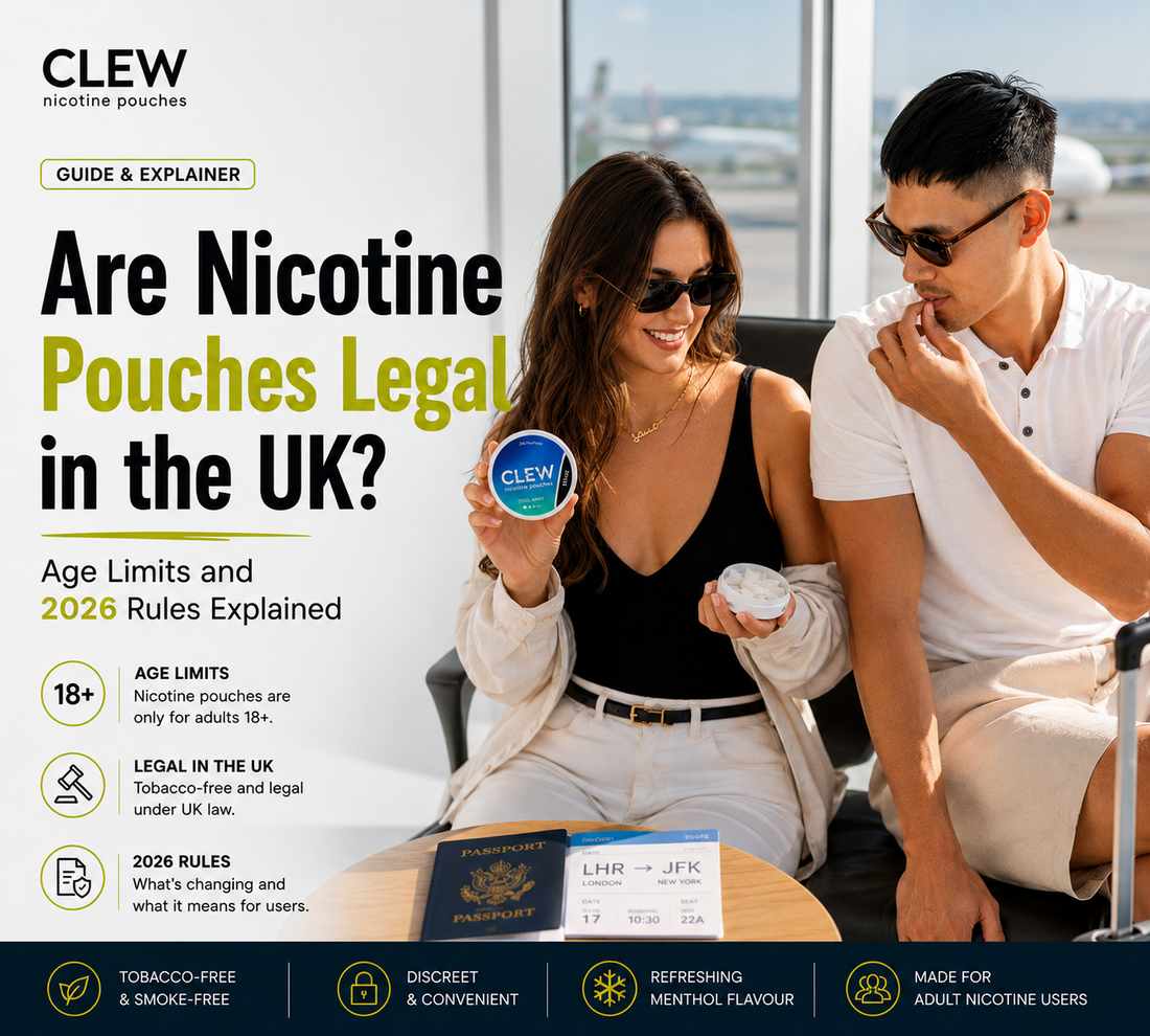 Are Nicotine Pouches Legal in the UK?, Nicotine Pouches