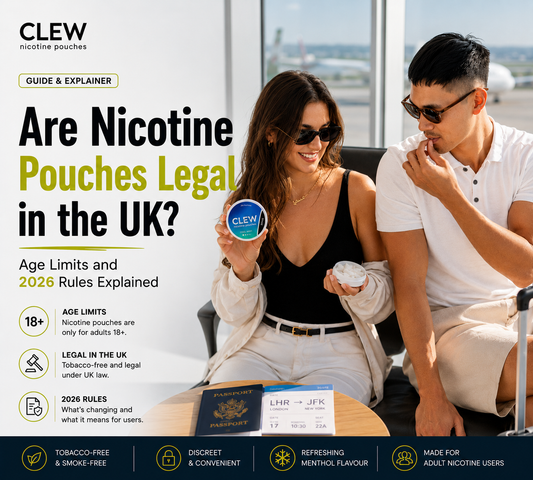 Are Nicotine Pouches Legal in the UK?, Nicotine Pouches
