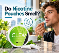 Do Nicotine Pouches Smell?