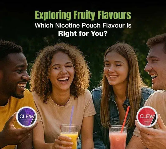 Nicotine pouch flavours guide