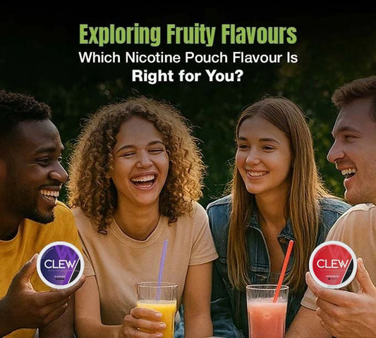 Nicotine pouch flavours guide