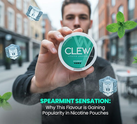 Spearmint Sensation: Why This Flavour is Gaining Popularity in Nicotine Pouches
