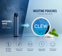 Switching from Disposable Vapes to Nicotine Pouches: What to Expect