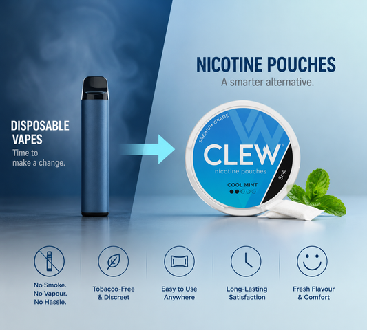 Switching from Disposable Vapes to Nicotine Pouches: What to Expect