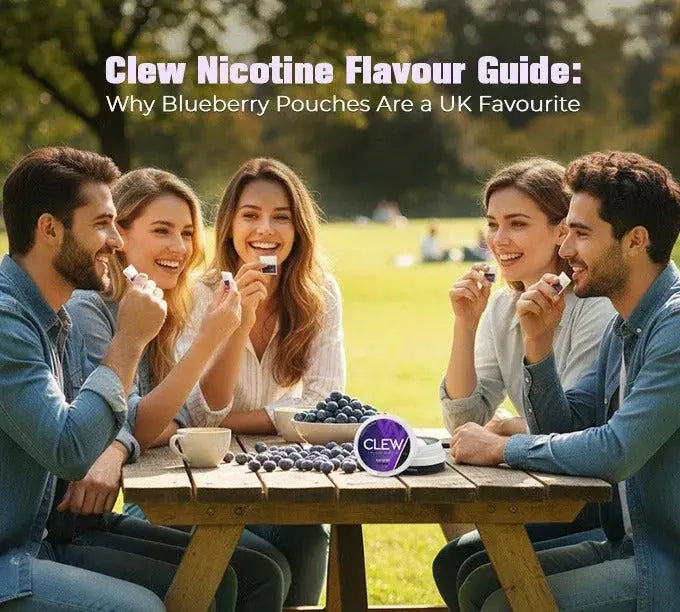 Clew Nicotine Flavour Guide: Why Blueberry Pouches Are a UK Favourite