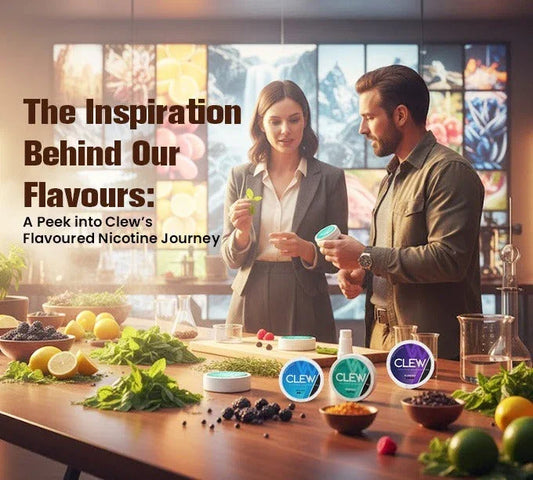 flavoured nicotine pouches