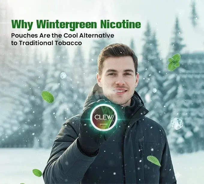 Why Wintergreen Nicotine Pouches Are the Cool Alternative to Tradition