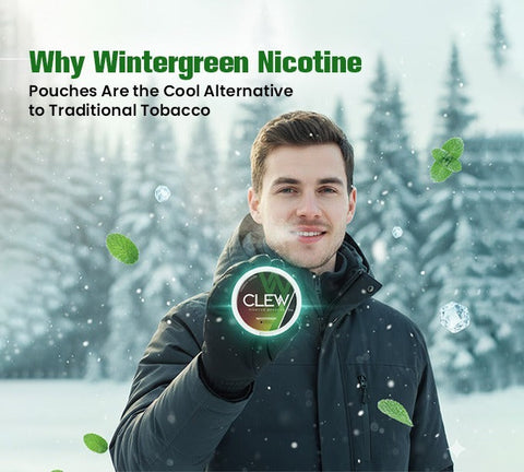 Why Wintergreen Nicotine Pouches Are the Cool Alternative to Traditional Tobacco