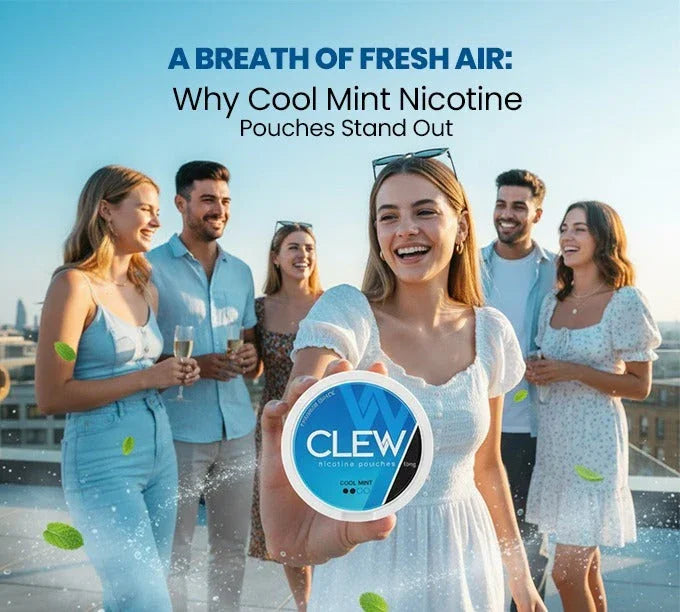 Cool mint nicotine pouches UK