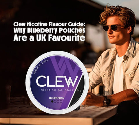 Clew Nicotine Flavour Guide: Why Blueberry Pouches Are a UK Favourite