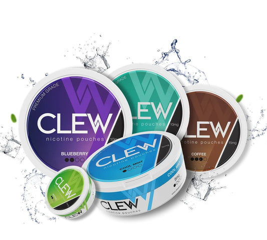 Best Nicotine Pouch Flavours for Beginners Guide