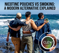 Nicotine Pouches vs Smoking: A Modern Alternative Explained