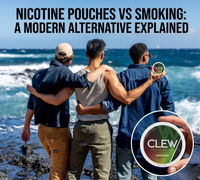Nicotine Pouches vs Smoking: A Modern Alternative Explained