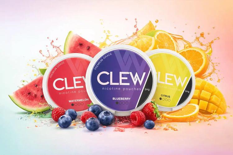 Explore Fruity Nicotine Pouches