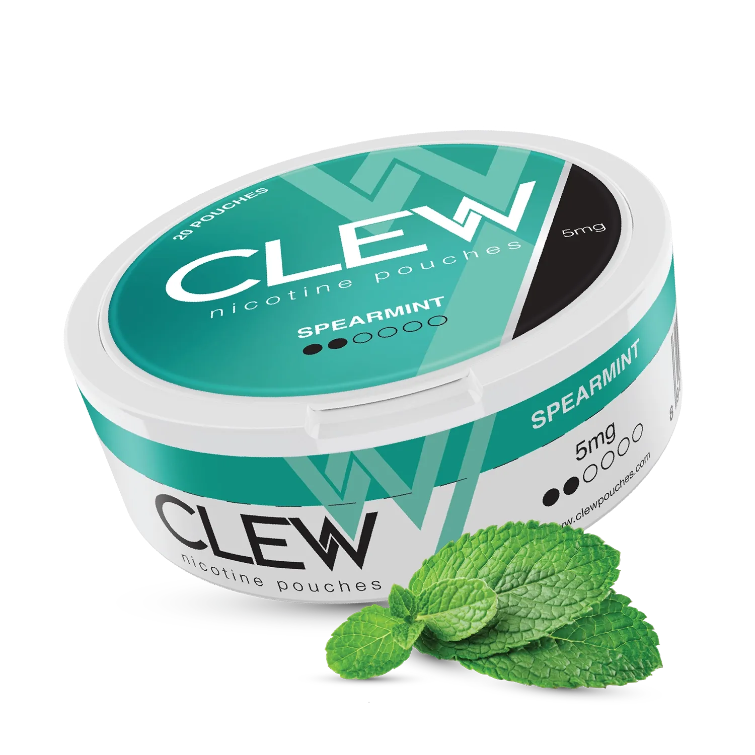 Mint Nicotine Pouches