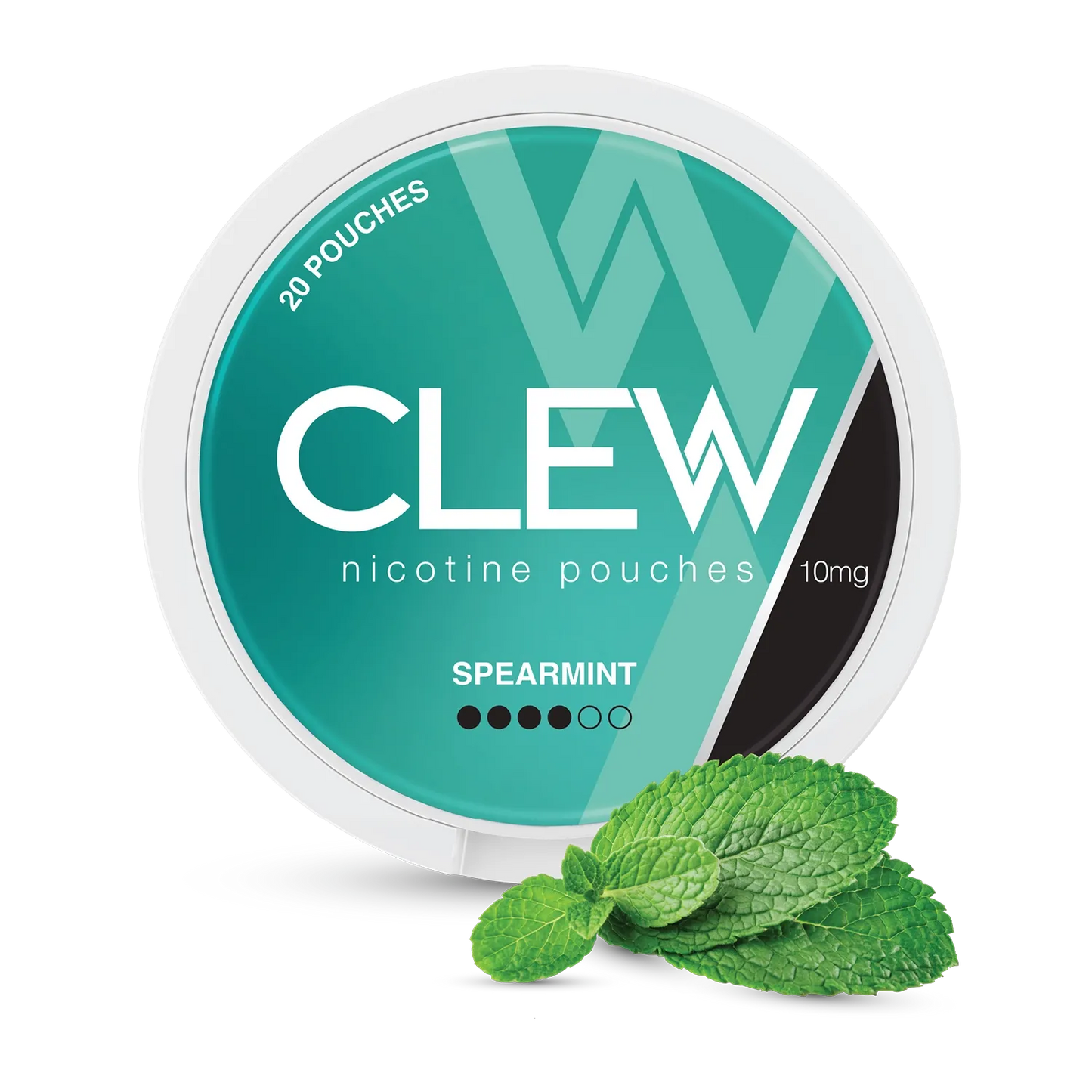 Spearmint