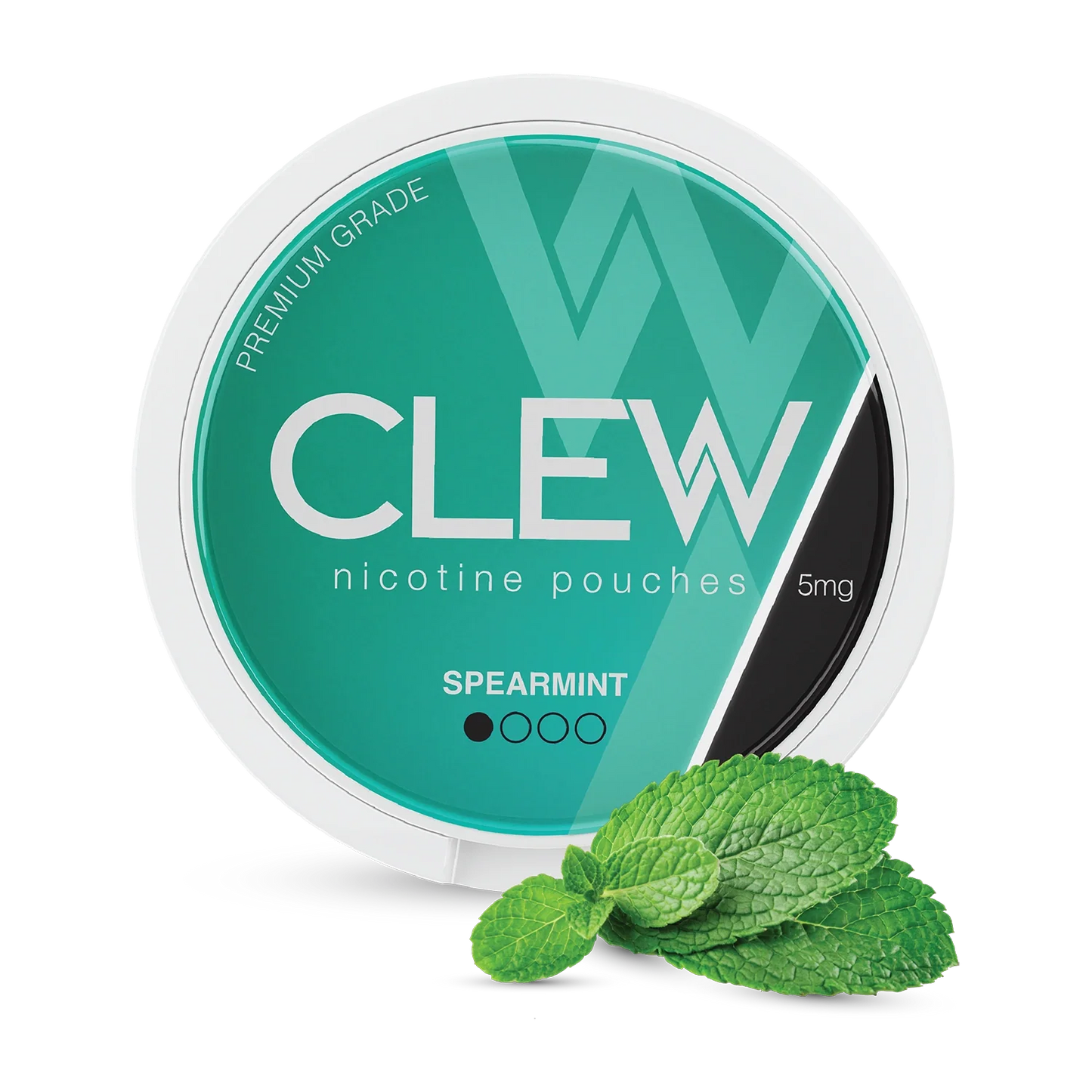 CLEW Spearmint Nicotine Pouches